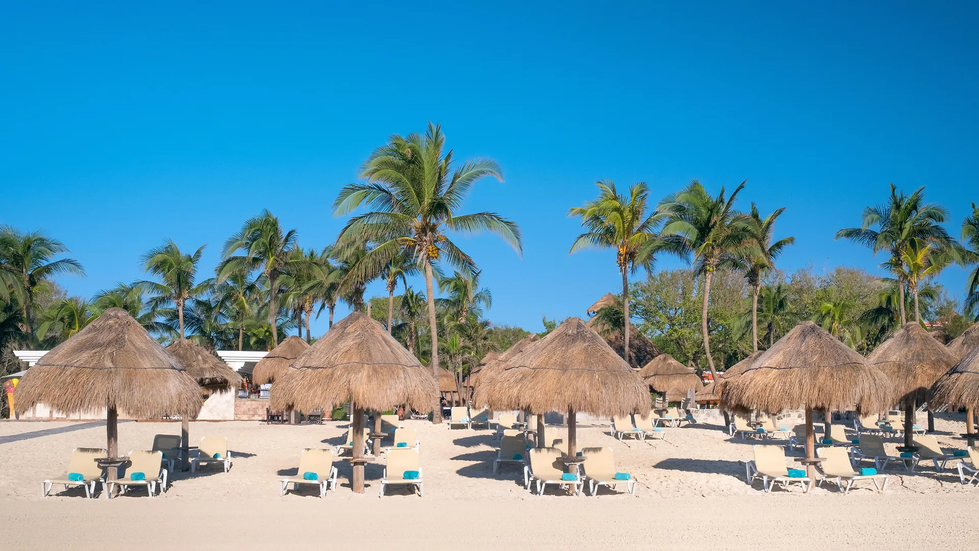 Iberostar Waves Quetzal Hotel Playa del Carmen Mexico